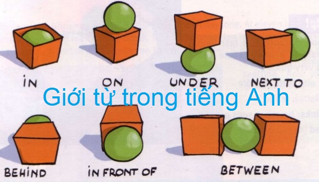 Các Loại Giới Từ Trong Tiếng Anh Và Cách Dùng Chi Tiết Nhất