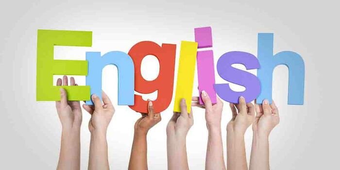 Học ngành Ngôn ngữ Anh nên thực tập ở đâu?
