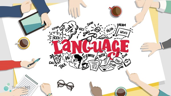 Chương trình đào tạo ngành Ngôn ngữ Anh – Cập nhật thông tin mới nhất