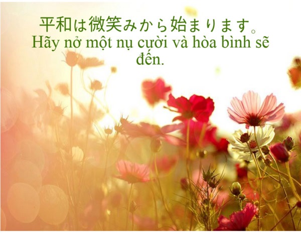 Những Status Hay Bằng Tiếng Nhật Thịnh Hành Nhất Hiện Nay