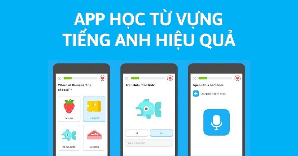 Top 5 App Học Từ Vựng Tiếng Anh