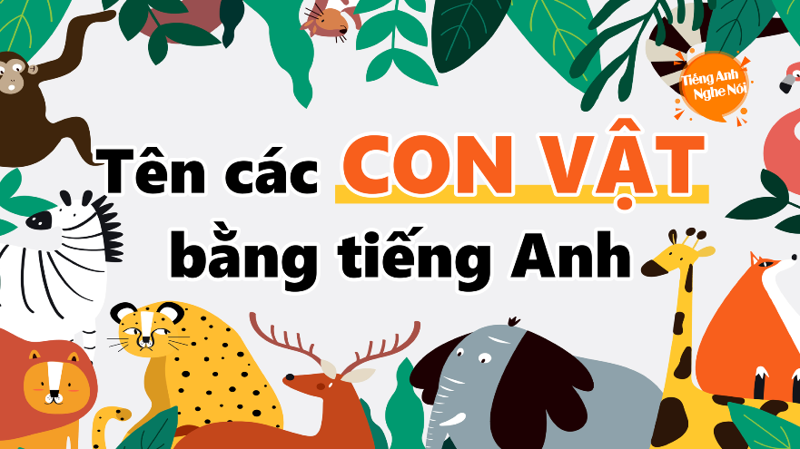 Từ Vựng Các Con Vật Bằng Tiếng Anh