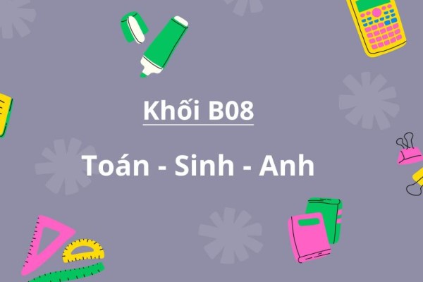 Khối B08 gồm những môn nào? Ngành nào?