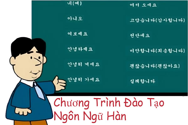 Chương trình đào tạo Ngôn ngữ Hàn – Trường Cao đẳng Quốc tế Sài Gòn