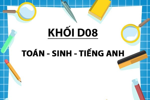 Khối D08 gồm những môn nào, ngành nào?