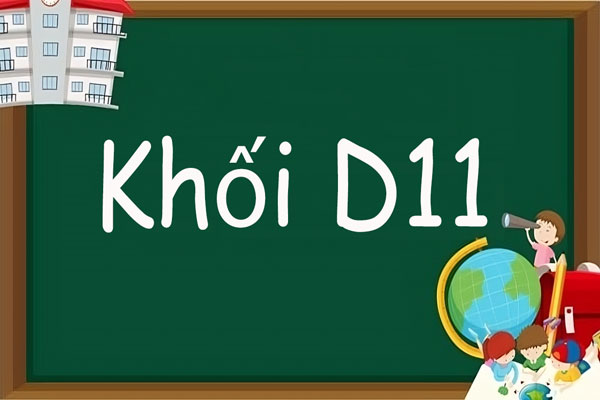 D11 là khối gì? Gồm những môn nào, ngành nào?