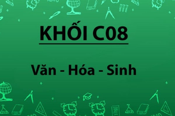 Khối C08 gồm những ngành nào? Trường nào xét tuyển?