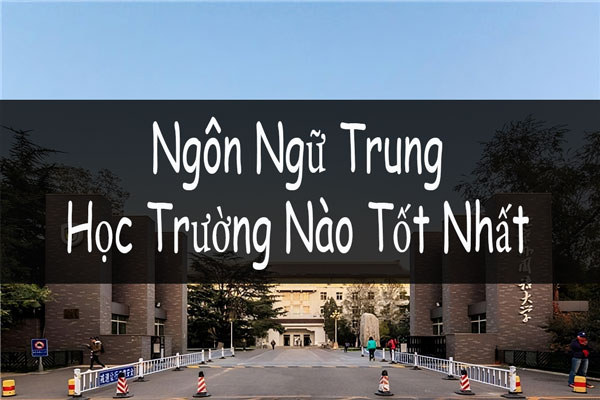 Tư vấn: Ngành Ngôn ngữ Trung học trường nào ở TPHCM?