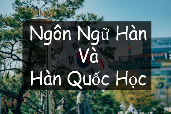 Ngành Ngôn ngữ Hàn và Hàn Quốc học khác gì nhau?