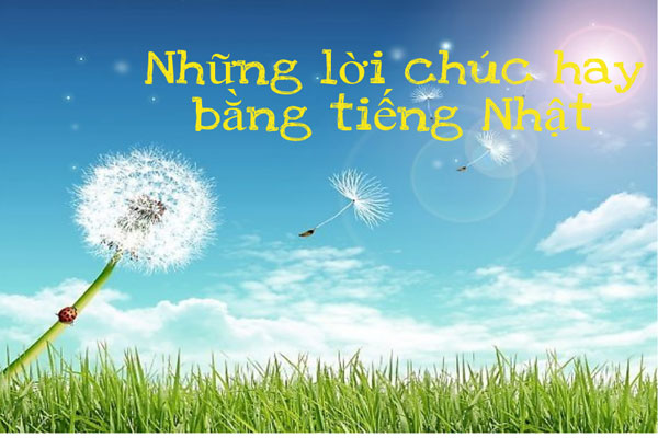 Những Câu Chúc Bằng Tiếng Nhật Hay Và Ý Nghĩa Nhất