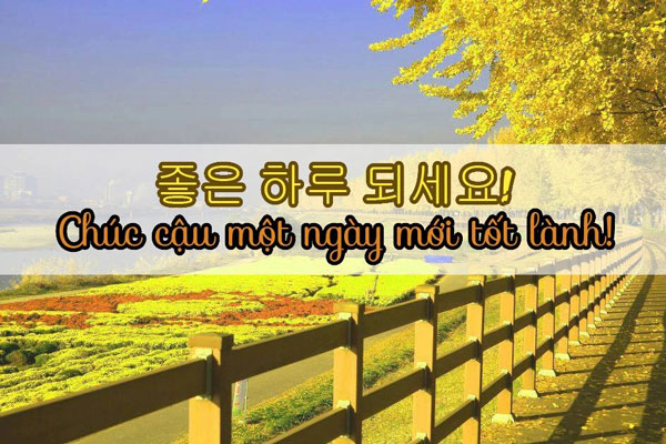 Những Câu Danh Ngôn Hay Bằng Tiếng Hàn