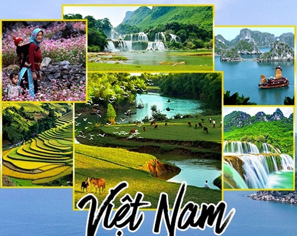 Tổng quan các ngành về du lịch Việt Nam