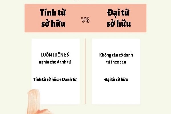 Trọn Bộ Kiến Thức Về Tính Từ Sở Hữu Trong Tiếng Anh 0020