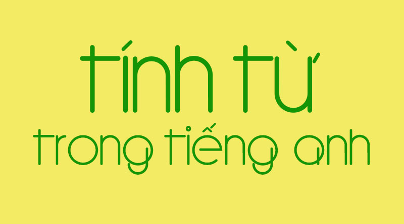 Tinh-tu-trong-tieng-Anh-la-gi