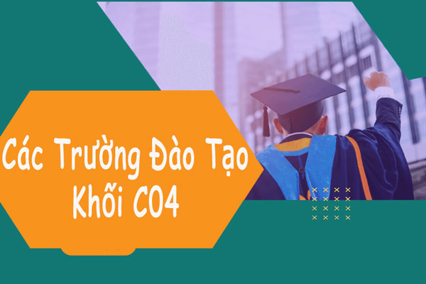 khối c04