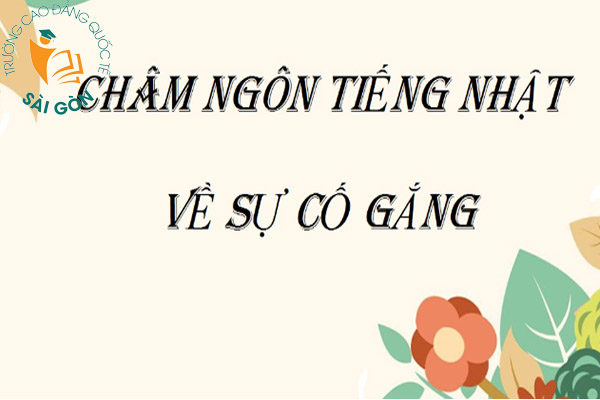 cham-ngon-bang-tieng-nhat3
