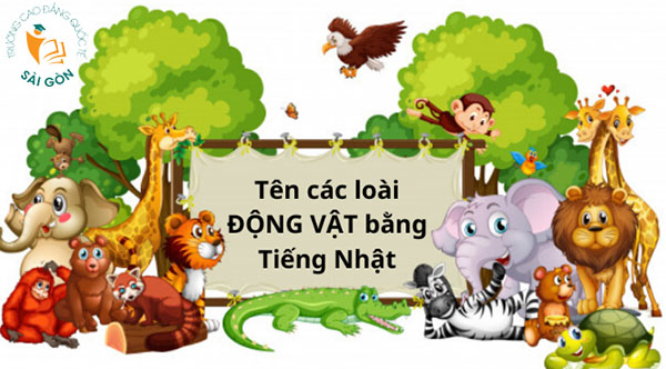 tieng-nhat-ve-dvat