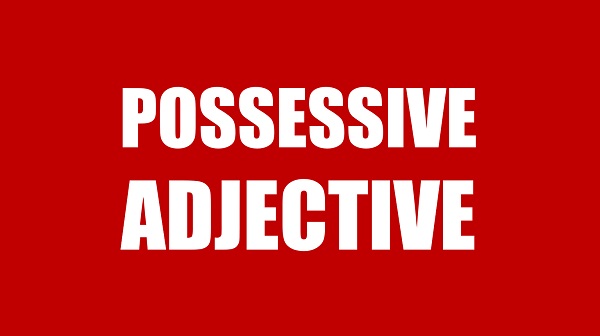 Tính từ sở hữu (Possessive adjectives) là gì?