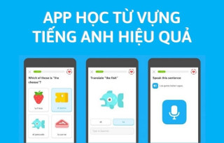 Top 5 ứng dụng Học Từ Vựng Tiếng Anh