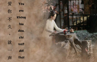 Những Câu Nói Tiếng Trung Hay Và Ý Nghĩa Về Tình Yêu, Cuộc Sống