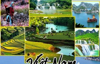 Tổng quan các ngành về Du lịch Việt Nam